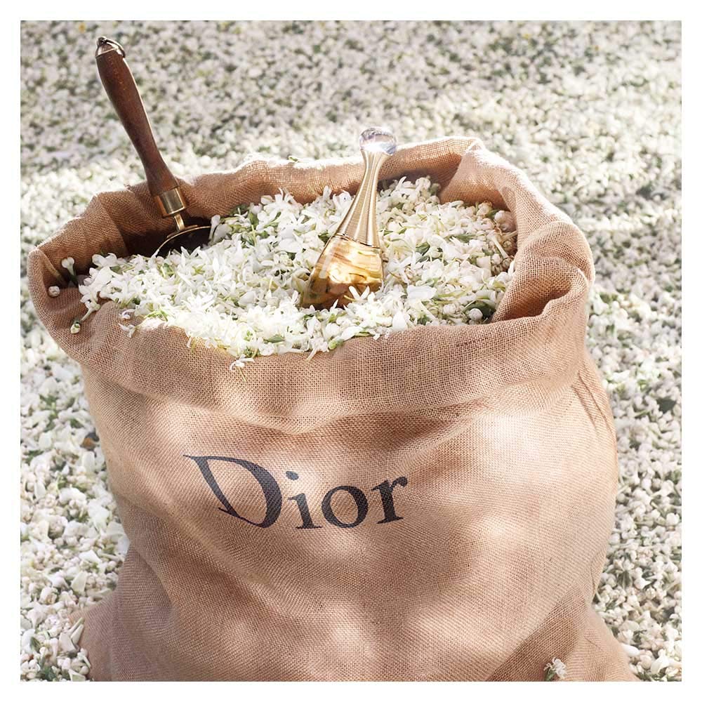 Image of Christian Dior Jadore By Christian Dior For Women. Eau De Parfum Spray 3.4 Ounces