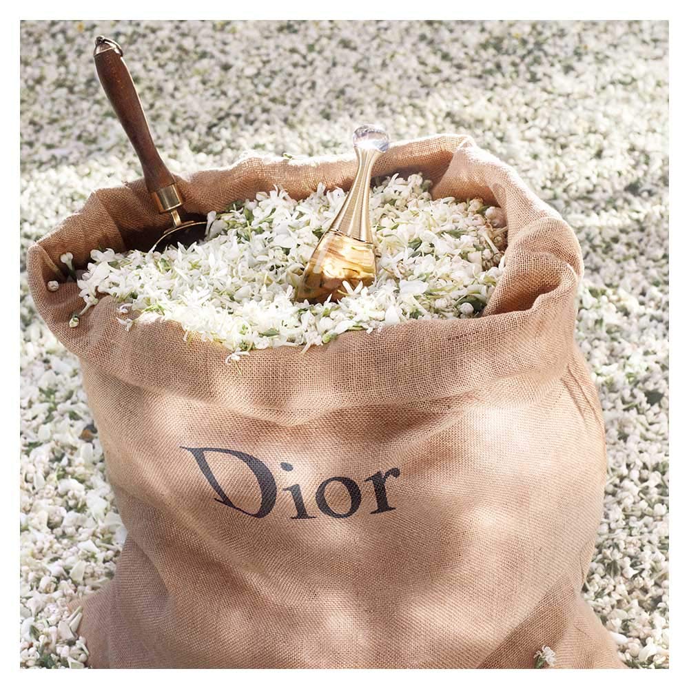 Image of Christian Dior Jadore By Christian Dior For Women. Eau De Parfum Spray 3.4 Ounces