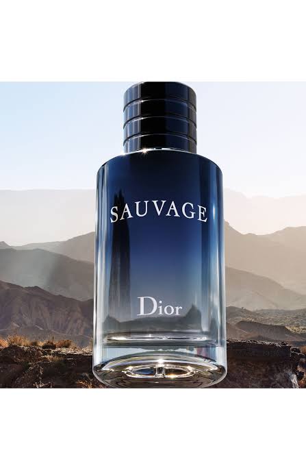 Image of Christian Dior Sauvage Eau De Toilette Spray For Men, 100ml